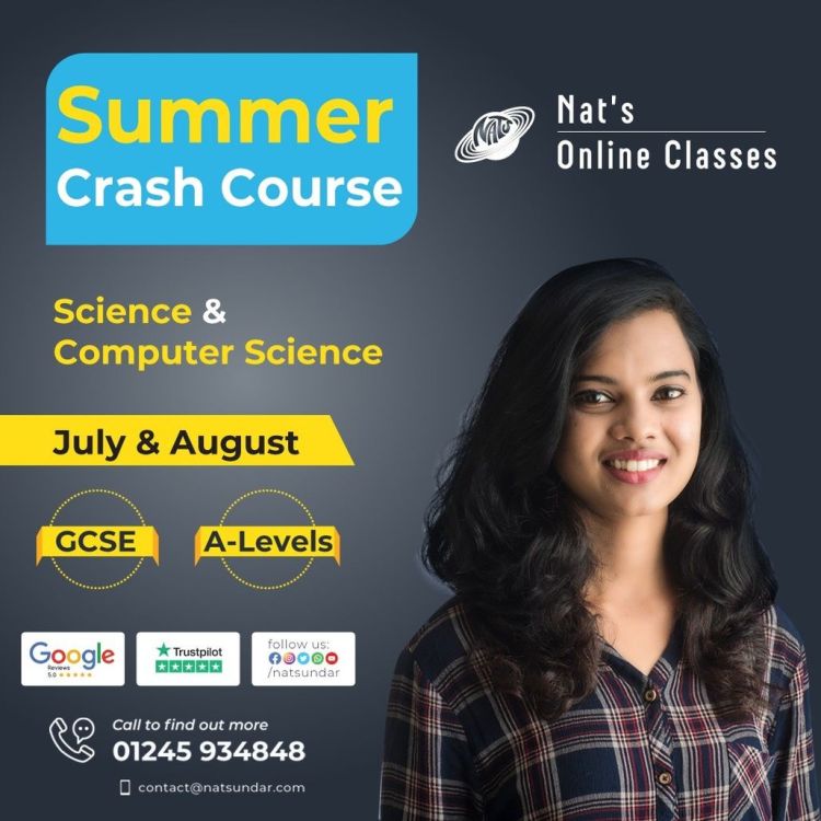 Computer Science Crash Course Nat S Online Classes